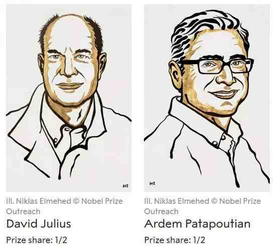 为什么会辣得菊花痛，诺奖得主给你答案休闲区蓝鸢梦想 - Www.slyday.coM