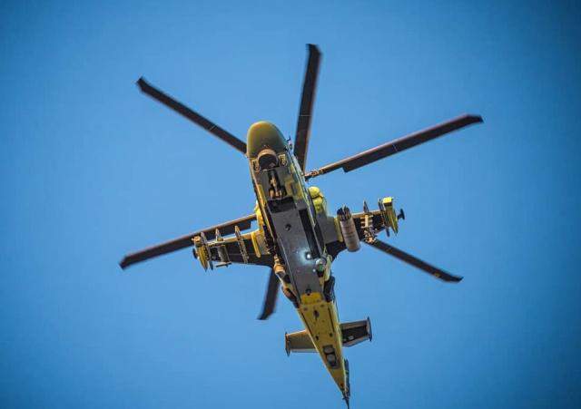 超级短吻鳄单价1500万美元价钱为啥这么便宜埃及有话说