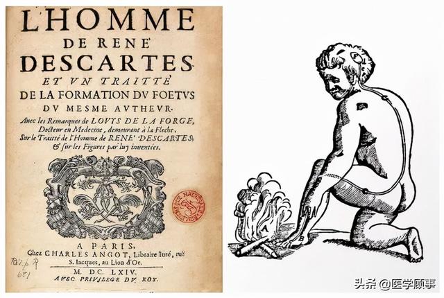 2021年诺贝尔生理医学奖及中国学者贡献：破解人类痛、触觉机制休闲区蓝鸢梦想 - Www.slyday.coM