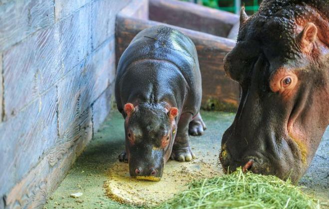 国庆假期第五天——传统文化活动受追捧，引领休闲旅游新风尚，济南24家重点监测景区纳客27．82万人次休闲区蓝鸢梦想 - Www.slyday.coM