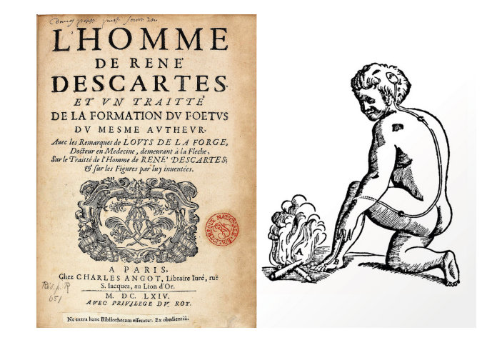 祝贺！温感与触感研究先驱获2021年诺贝尔生理学或医学奖休闲区蓝鸢梦想 - Www.slyday.coM