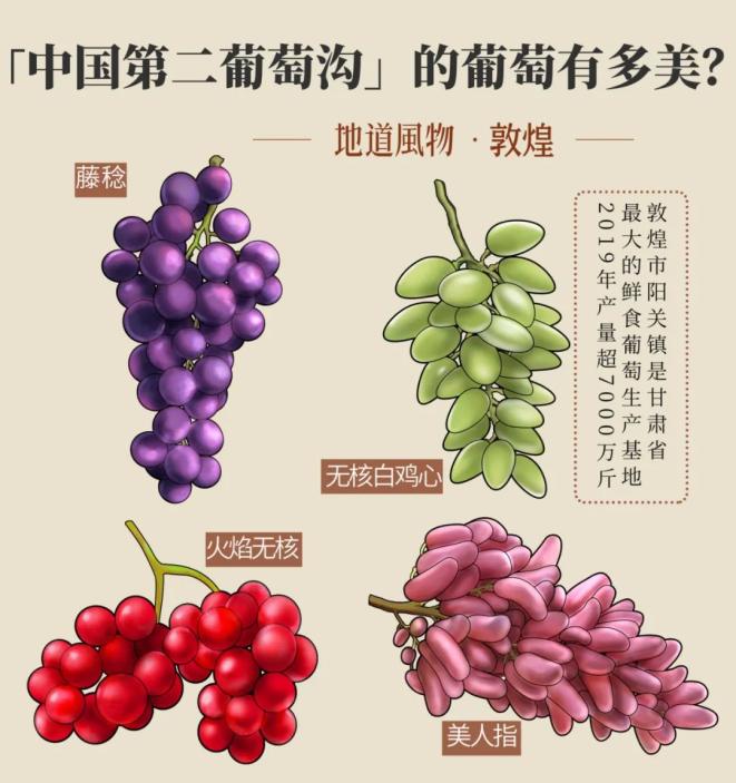 敦煌的葡萄有多美？制图/刘震宇