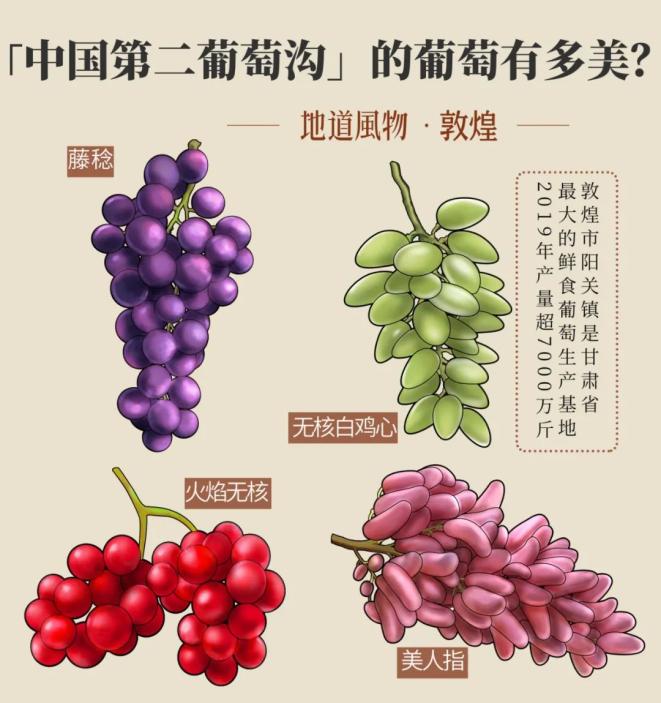 敦煌的葡萄有多美?制图/刘震宇