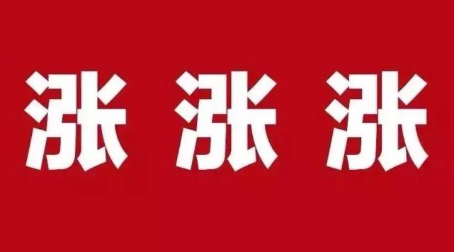 超过51家轮胎工厂发布涨价函