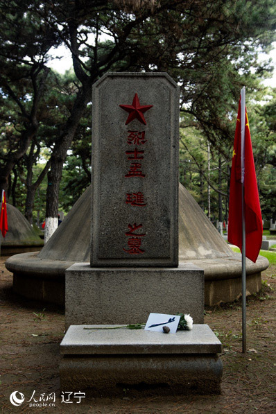 《长津湖》热映,杨根思烈士墓前多了一架"歼-15"