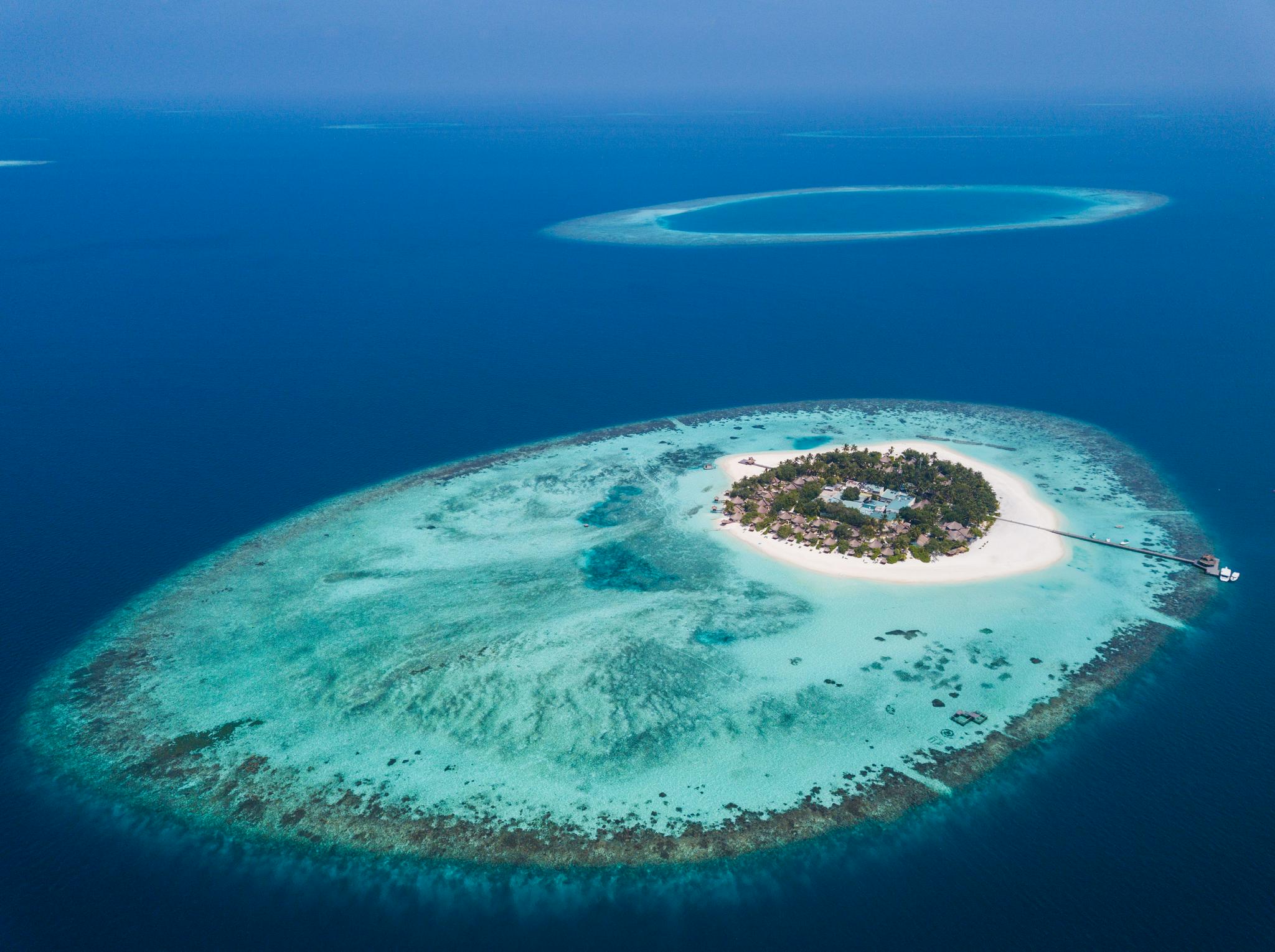 10年间全球逾万平方公里珊瑚礁消亡|珊瑚礁|珊瑚|新华社_新浪新闻