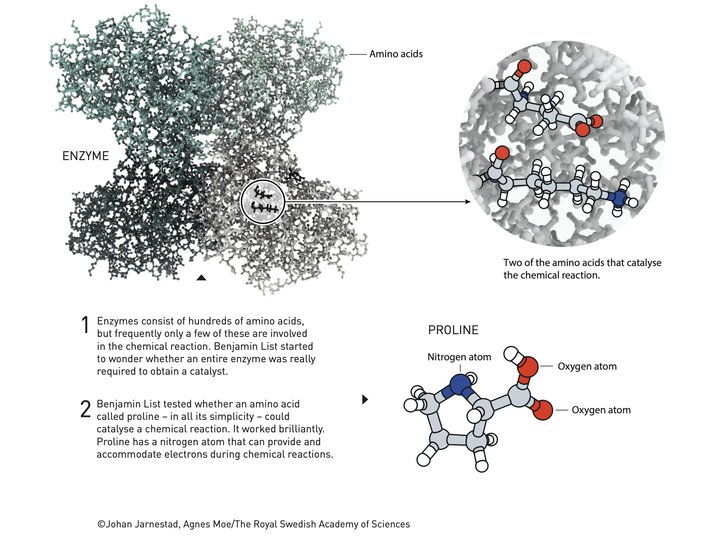 2021 诺贝尔化学奖出炉：大热 mRNA 陪跑，给了这个或将改变制药和电池技术的研究休闲区蓝鸢梦想 - Www.slyday.coM