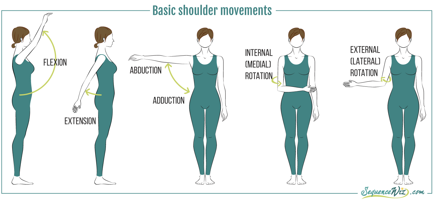 它或许能拯救你酸痛的手臂:浅谈人体工学鼠标