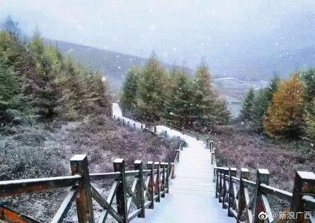 北方多地已下雪！ 而广西的秋天终于要来了，广西将迎来冷空气+台风休闲区蓝鸢梦想 - Www.slyday.coM