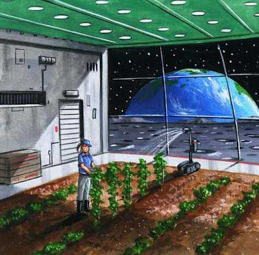 月壤也能种庄稼!嫦五带回的月壤能种小麦,开发月球不怕没粮食了