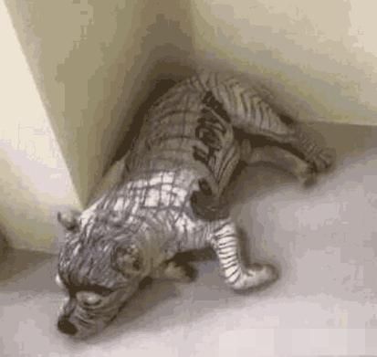 父母外出,留四岁孩子和狗狗在家,父母回家后吓傻眼了休闲区蓝鸢梦想 - Www.slyday.coM 父母外出,留四岁孩子和狗狗在家,父母回家后吓傻眼了休闲区蓝鸢梦想 - Www.slyday.coM