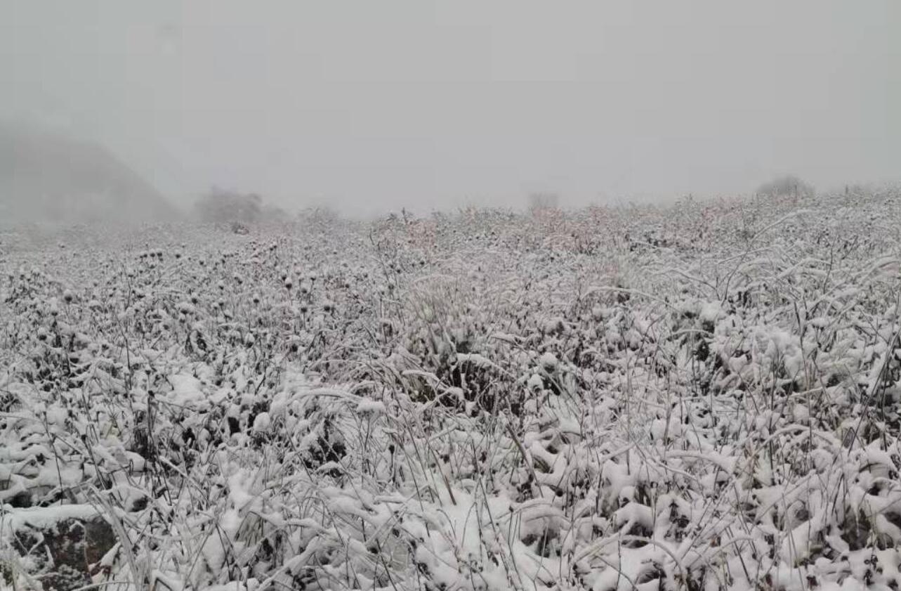 10月我国多地飞雪!为什么2021年的冬天来得这么早?休闲区蓝鸢梦想 - Www.slyday.coM 10月我国多地飞雪!为什么2021年的冬天来得这么早?休闲区蓝鸢梦想 - Www.slyday.coM
