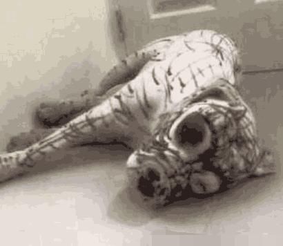 父母外出,留四岁孩子和狗狗在家,父母回家后吓傻眼了休闲区蓝鸢梦想 - Www.slyday.coM 父母外出,留四岁孩子和狗狗在家,父母回家后吓傻眼了休闲区蓝鸢梦想 - Www.slyday.coM