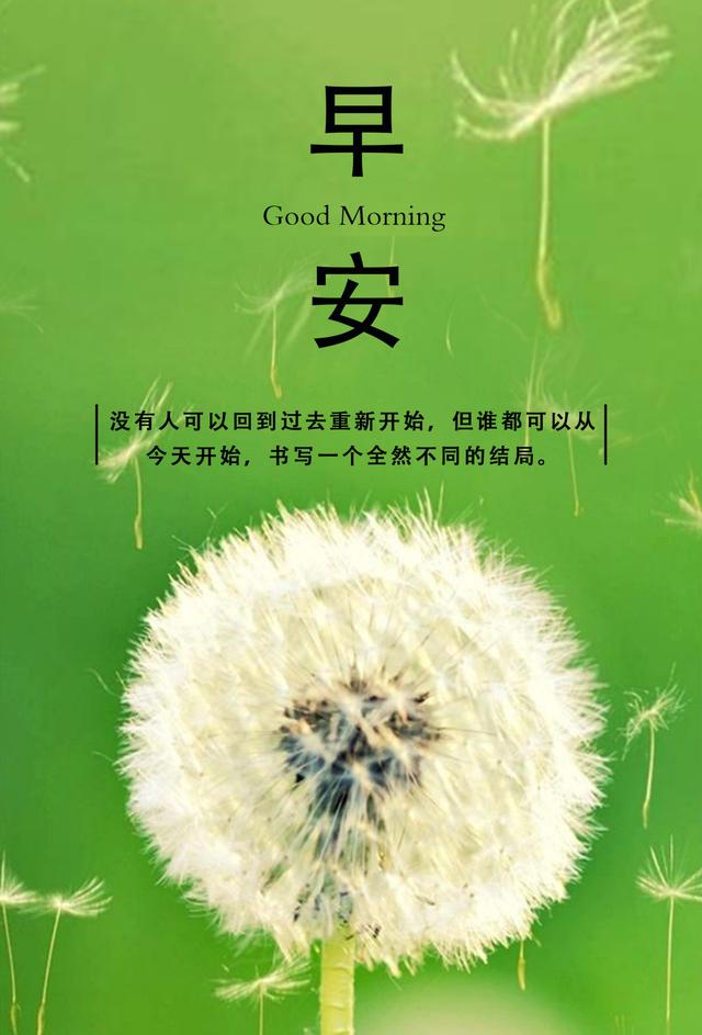 早上吸引朋友圈点赞的句子早安正能量简单一句话句句阳光