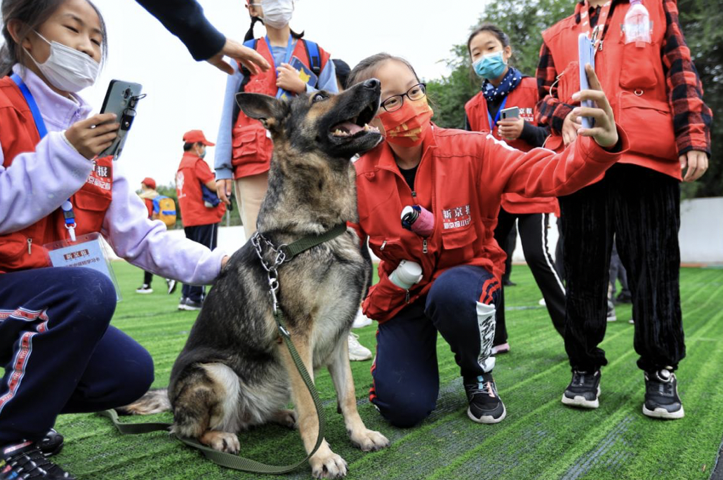 新京报小记者走进警犬训练基地探秘警犬是如何养成的