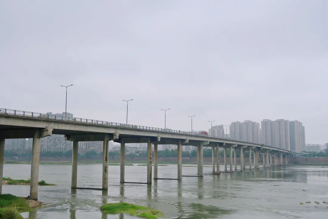乐山城岷江上的五座桥!|大桥|乐山市_新浪新闻