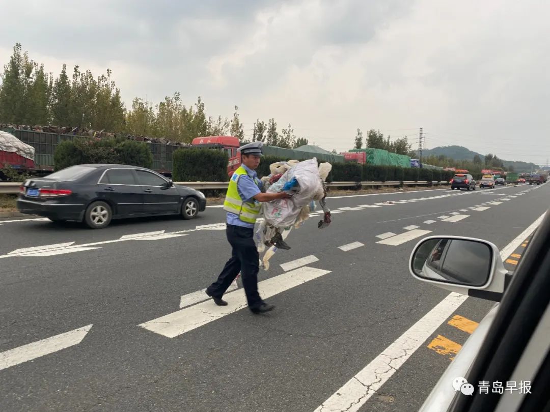 这是李涌生前留下的最后一个夜巡视频…早报记者独家跟访休闲区蓝鸢梦想 - Www.slyday.coM