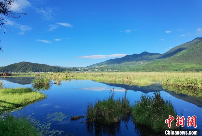 图为腾冲北海湿地风景区。　罗婕 摄