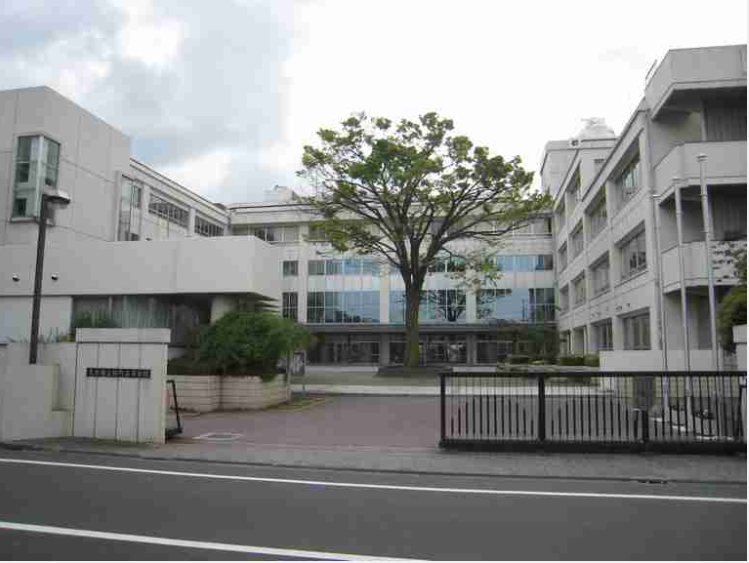 日本少女18岁签约，却被公司雪藏5年！出道便美如惊鸿！休闲区蓝鸢梦想 - Www.slyday.coM