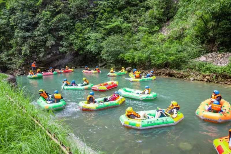 南川全域旅游助推国庆长假游客量创新高|金佛山_新浪新闻