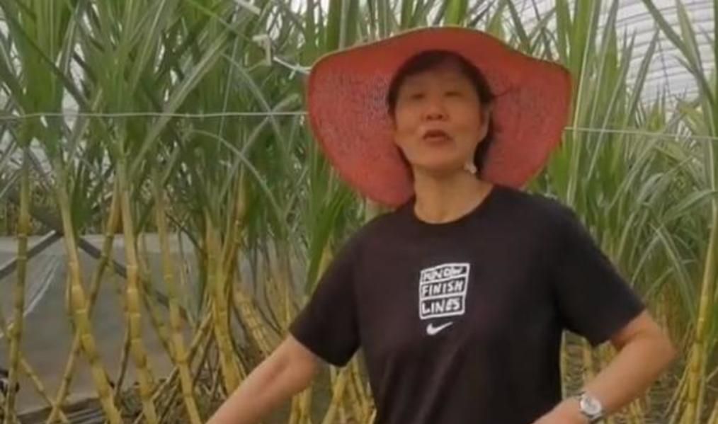 郎平正享受退休时光!看似有3大接班人,可没人比她熟悉中国女排休闲区蓝鸢梦想 - Www.slyday.coM 郎平正享受退休时光!看似有3大接班人,可没人比她熟悉中国女排休闲区蓝鸢梦想 - Www.slyday.coM