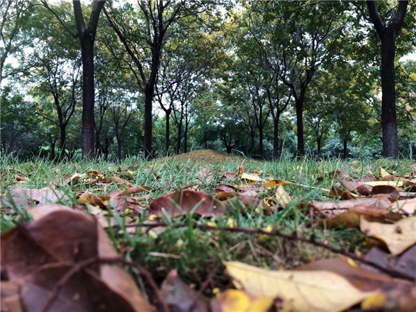 局地降温超10℃!节后上班首日寒露至,新一轮冷空气全国发货休闲区蓝鸢梦想 - Www.slyday.coM 局地降温超10℃!节后上班首日寒露至,新一轮冷空气全国发货休闲区蓝鸢梦想 - Www.slyday.coM