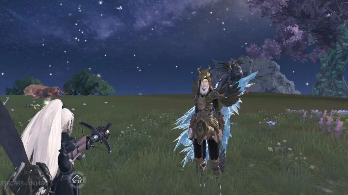 妄想山海四星游侠少鹄贬落凡间的天兵