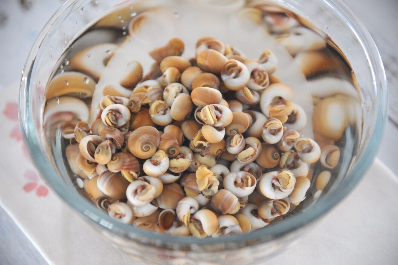 香螺辣炒一下解馋好吃又下饭几分钟就能学会