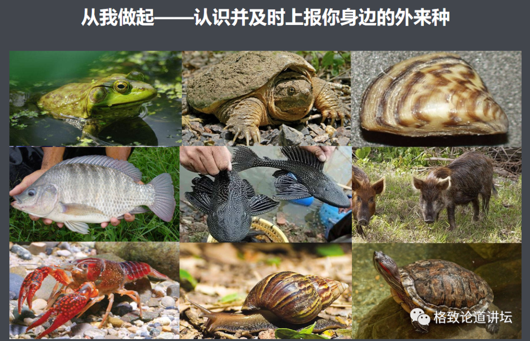 外来物种入侵,只是地球所面临的挑战之一,我们现在还面临着非常多的