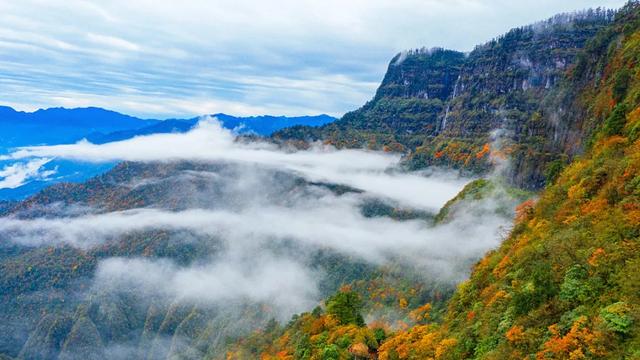 今日寒露,瓦屋山景区提醒您勿忘添衣
