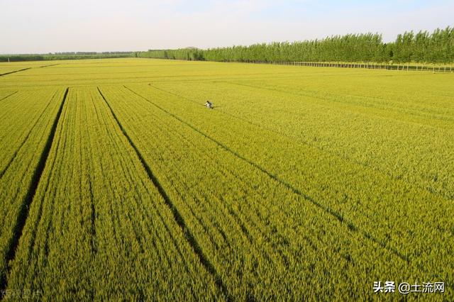 四川耕地地力保护补贴标准:每亩补贴多少钱?附领取方法__财经头条