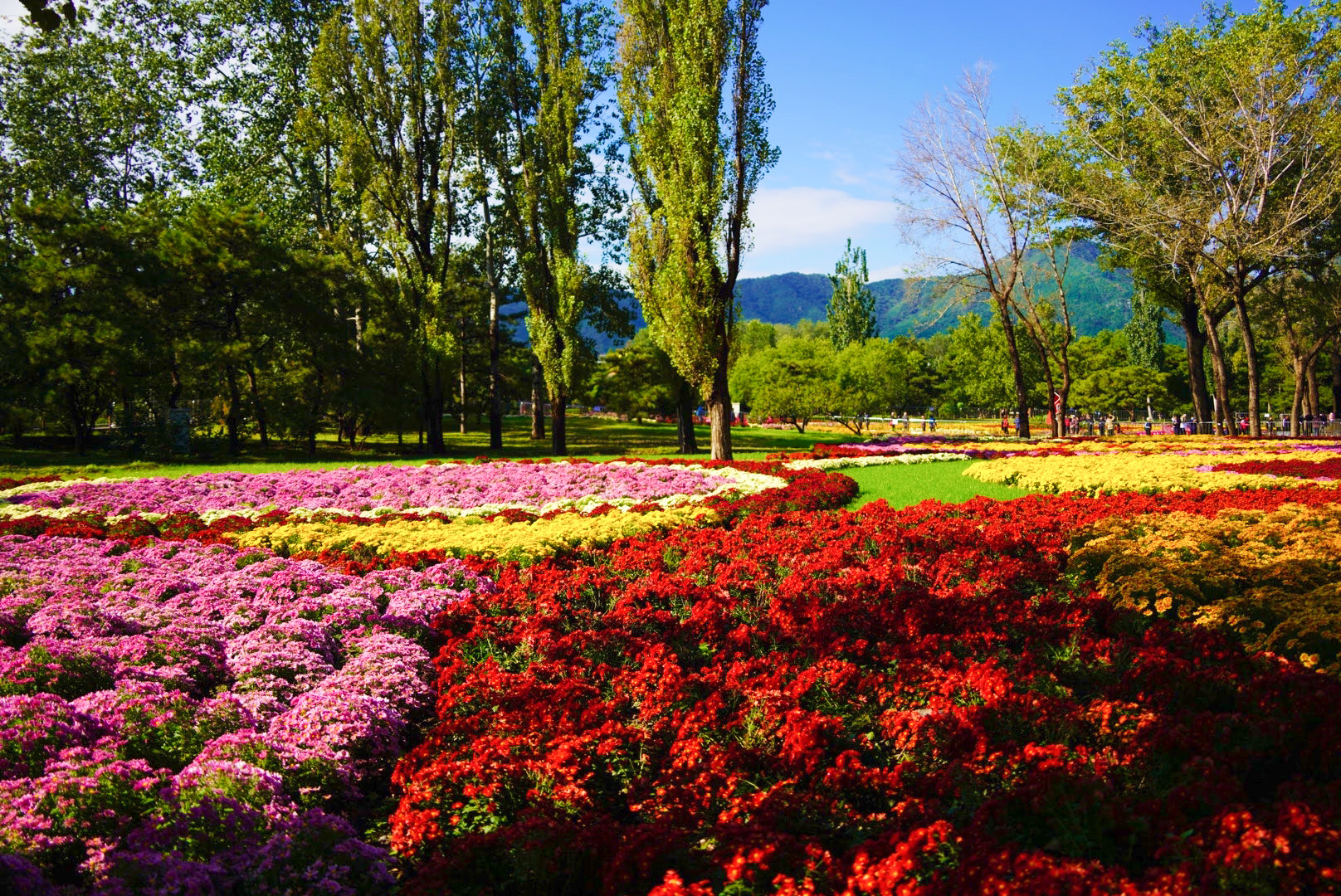 国庆假期北京市属公园迎客211.5万人次