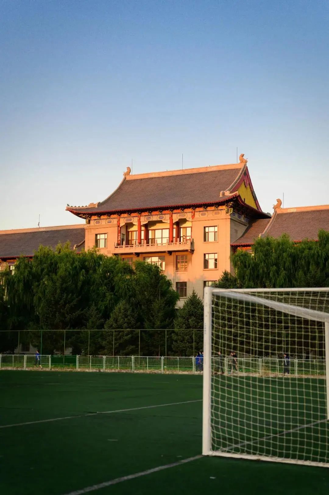 哈尔滨工程大学校园里开得火红热烈的国庆树