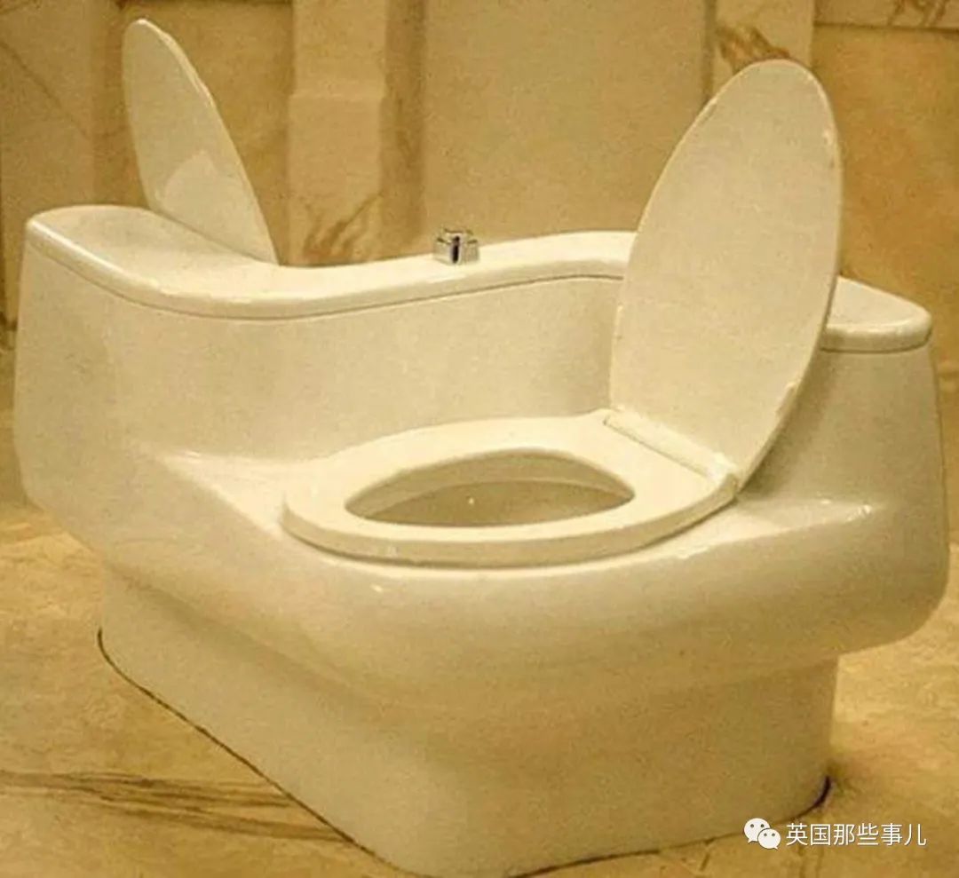 女明星自曝在家装了双排马桶,跟老公一起大小便…网友:啊?