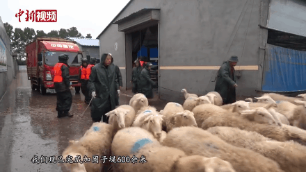 山西，加油！（附山西急需物资）休闲区蓝鸢梦想 - Www.slyday.coM