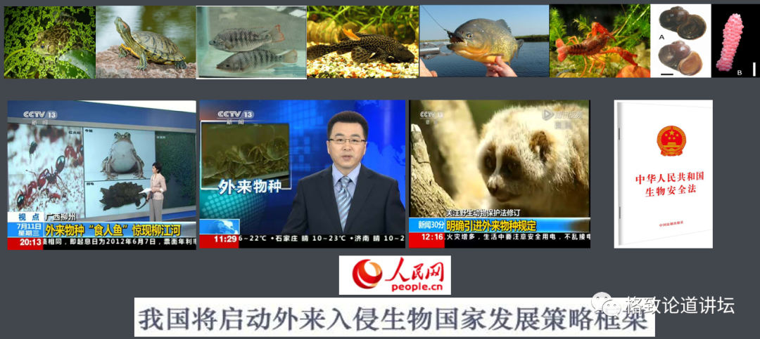《中华人民共和国生物安全法》,多次提到了外来物种入侵防控的重要性