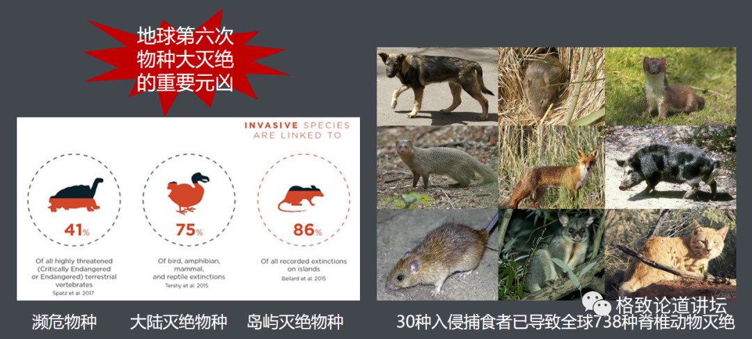 这些外来入侵物种,是第六次物种大灭绝的重要元凶__财经头条