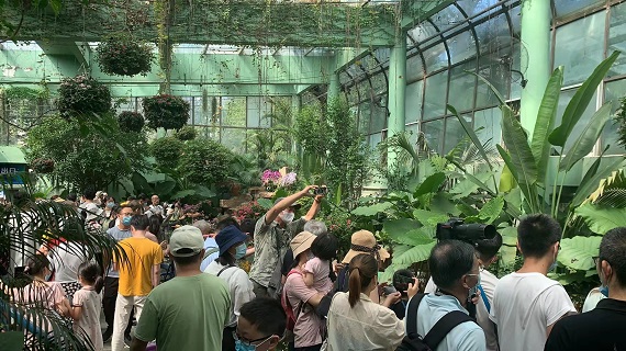 国庆7天上海“逛公园”人数攀升  全市公园共接待游客近550万人次休闲区蓝鸢梦想 - Www.slyday.coM