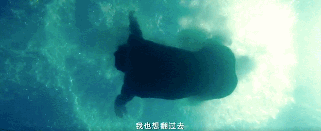 《五个扑水的少年》逆袭，口碑回升观众增多，原因靠卖惨上位？休闲区蓝鸢梦想 - Www.slyday.coM