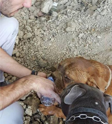 狗狗被主人捆在野外等死,只剩最后一口气的时候等来了恩人休闲区蓝鸢梦想 - Www.slyday.coM 狗狗被主人捆在野外等死,只剩最后一口气的时候等来了恩人休闲区蓝鸢梦想 - Www.slyday.coM