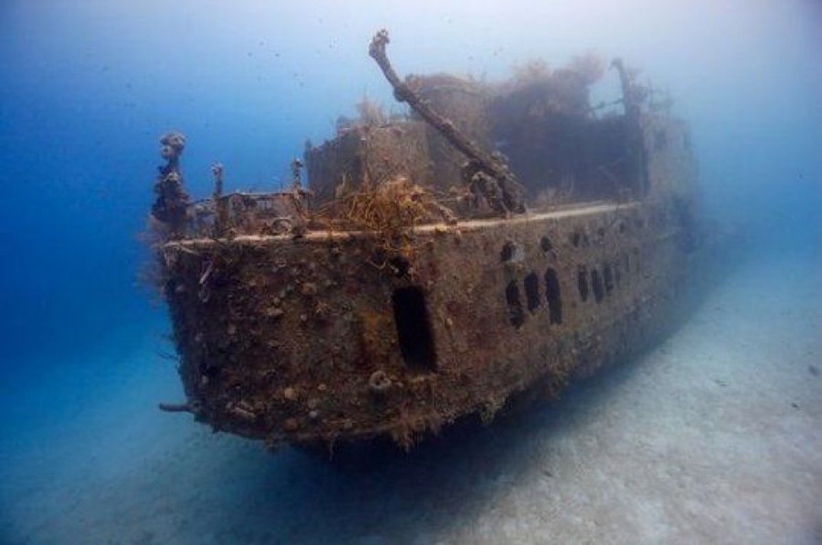 正文  我国的南海地区,有很多沉船,有的已经被打捞上岸,有的仍在水底