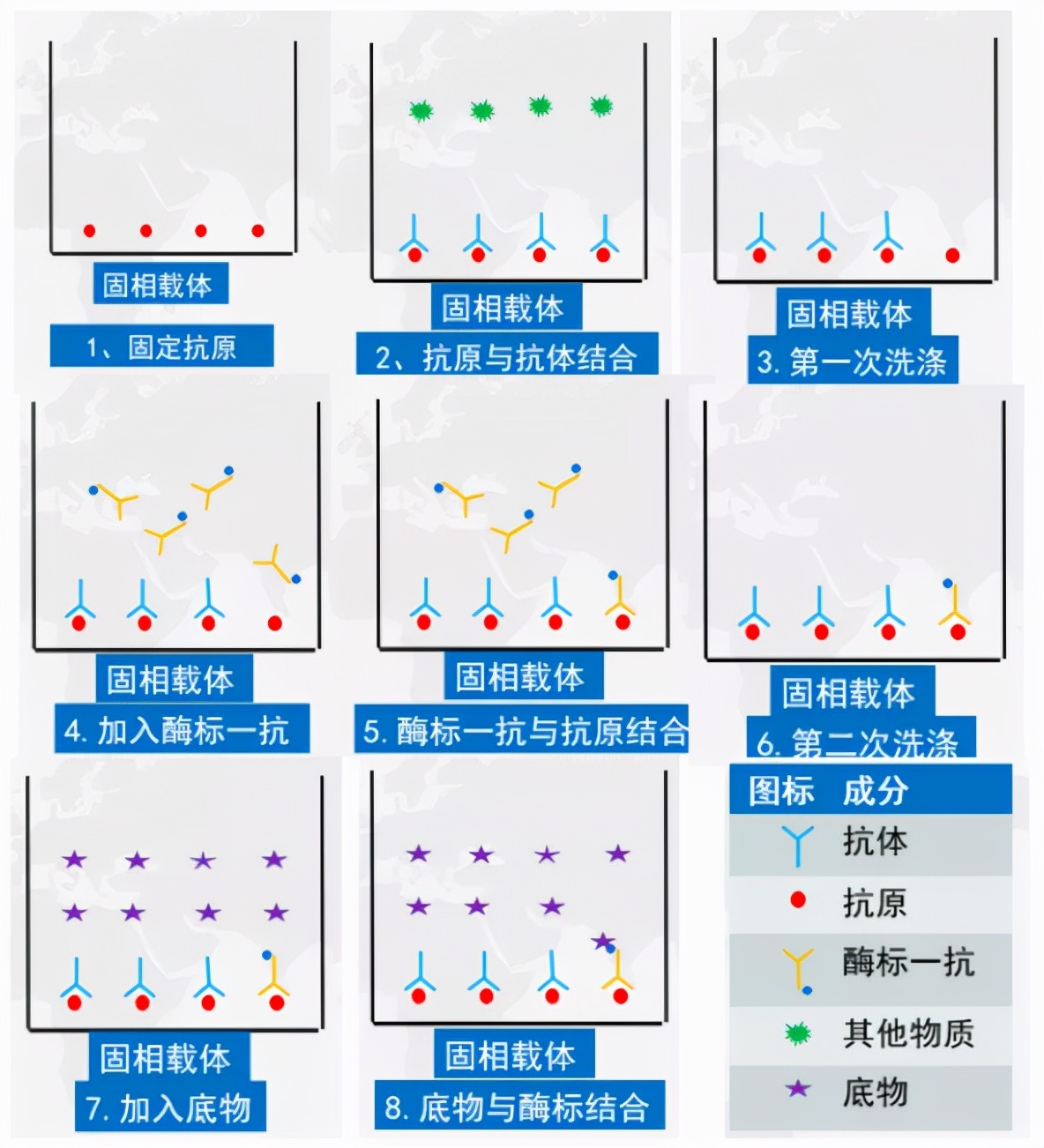 陈家锃:非洲猪瘟抗体"假阳性"的解决方案