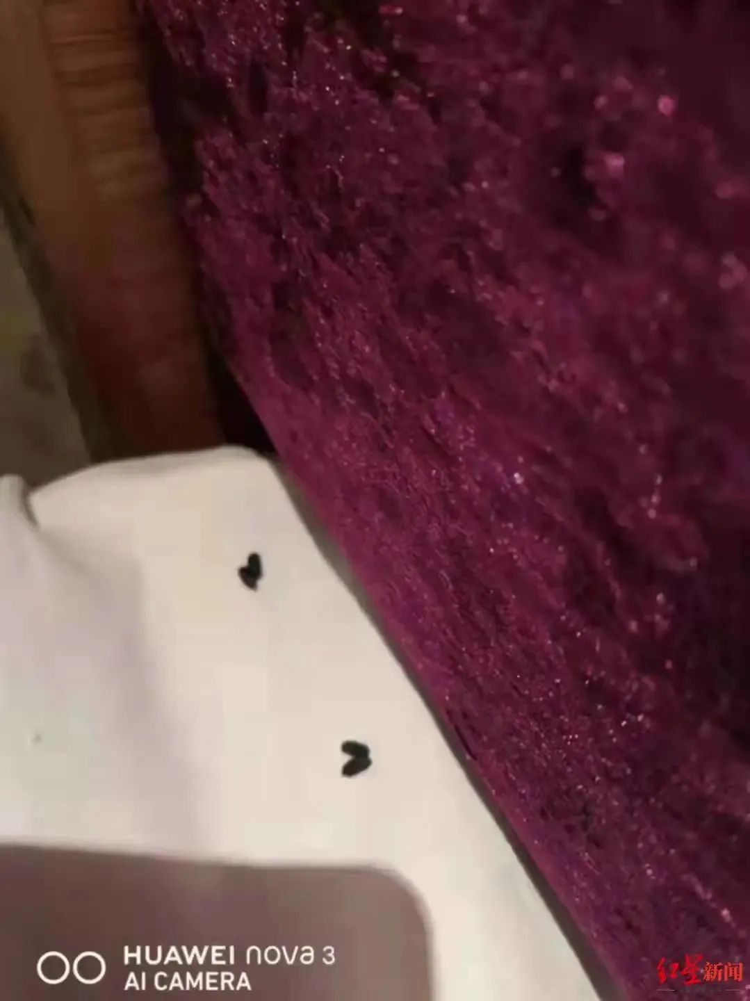 “4日跟团游，连九寨沟大门都没看到…”当地通报来了→休闲区蓝鸢梦想 - Www.slyday.coM