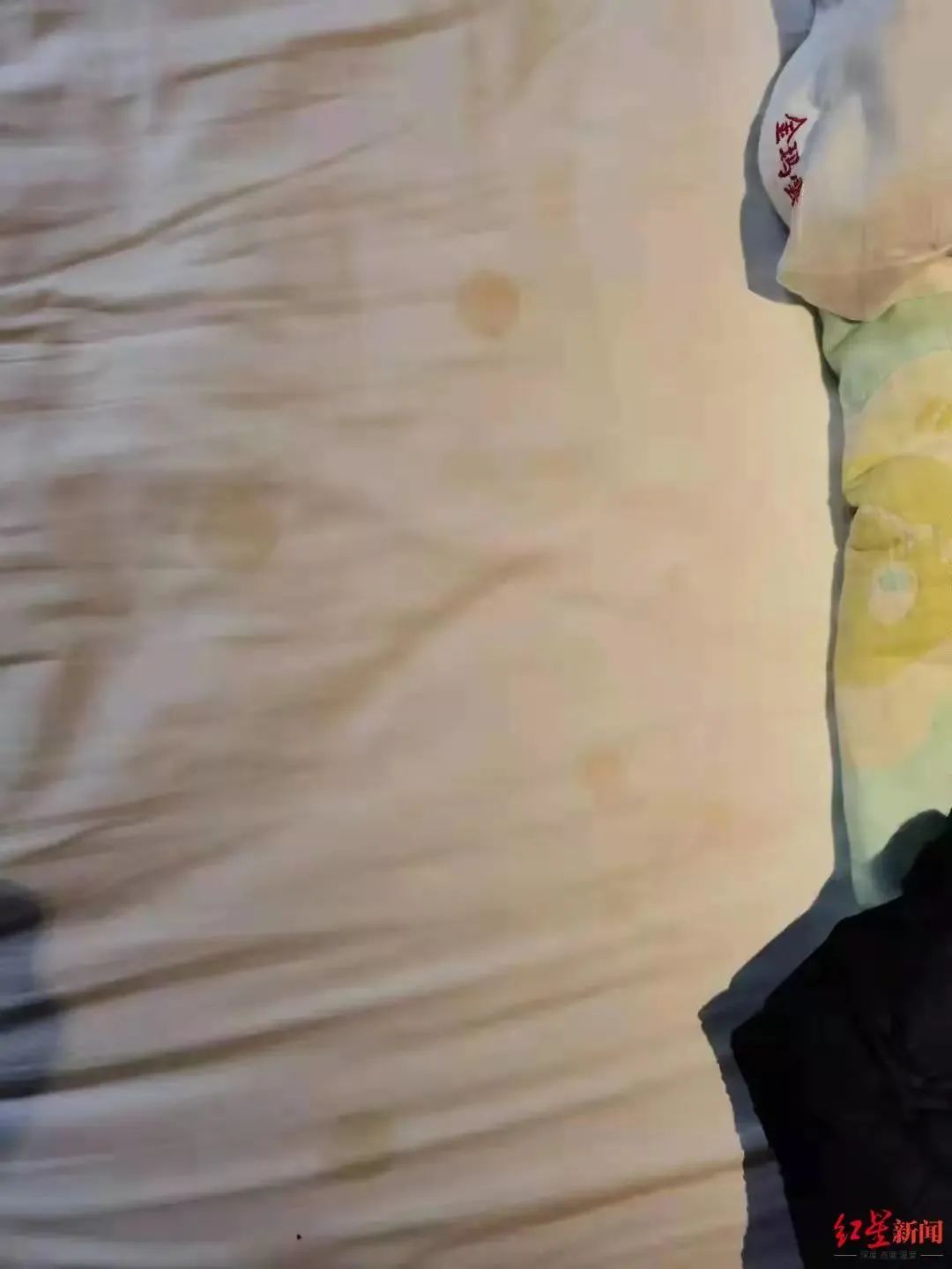 “4日跟团游，连九寨沟大门都没看到…”当地通报来了→休闲区蓝鸢梦想 - Www.slyday.coM