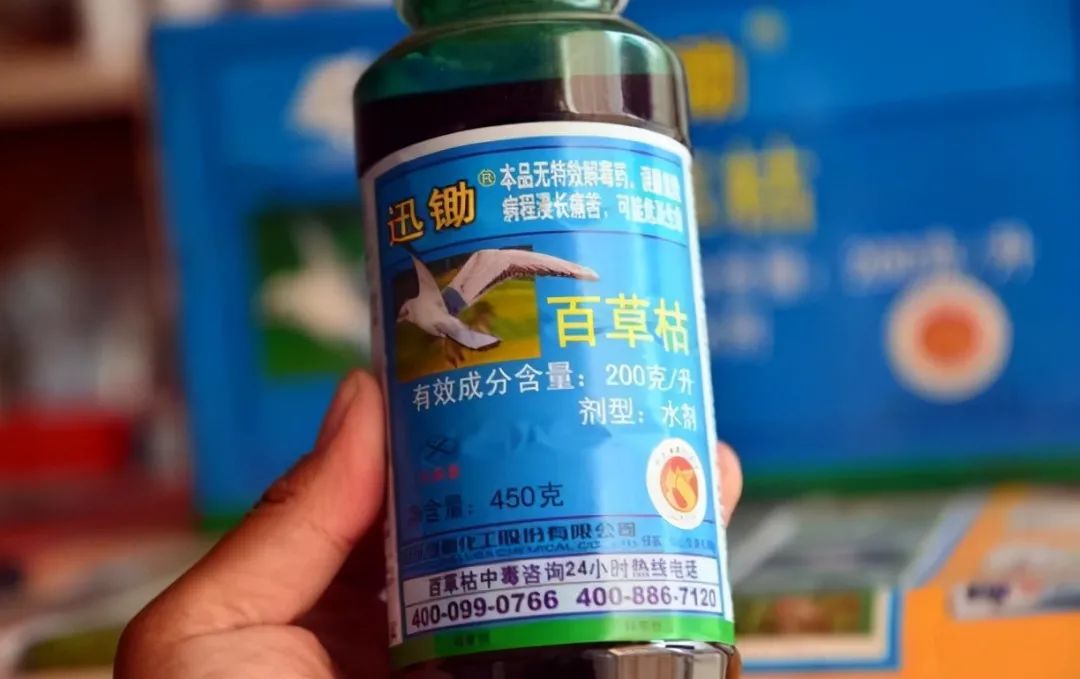 正文  中国最知名的农药,以前是敌敌畏,现在是百草枯.