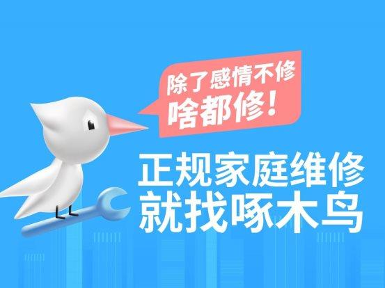 的一个大势所趋,因此,应用社会发展的趋势,啄木鸟家庭维修应时而生