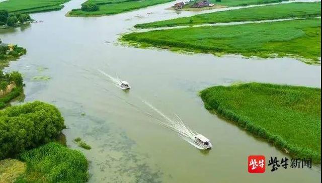 江苏焕颜 要你好看 | 盐城:"金滩银荡"九龙口|江苏省|盐城市|湿地