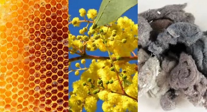 图为蜂蜜、阿拉伯树胶、植物纤维