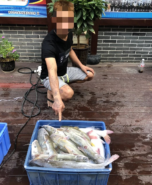 淡水鱼芝麻剑是国家二级保护野生动物划重点!