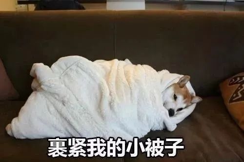 冬天的棉被仿佛就是高性能的隔热罩,但即使用力裹紧自己的小被子,再加